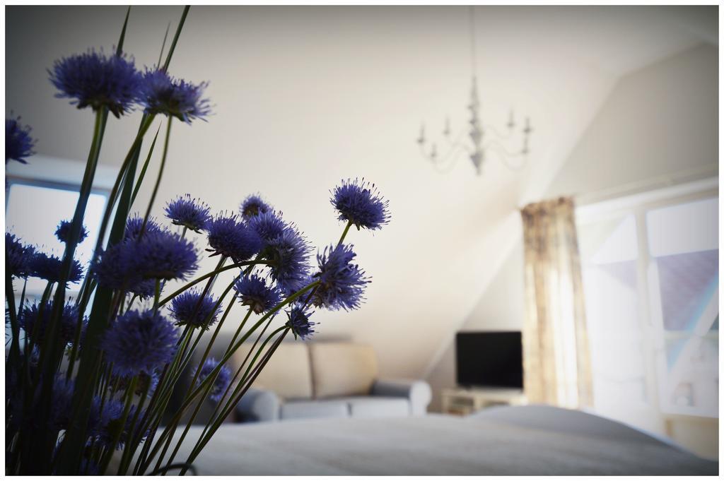 Smelynas Neringa Apartments プレイラ 部屋 写真